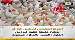 «معلومات الوزراء» توضح حقيقة ظهور فيروس إنفلونزا الطيور بالمزارع المصرية