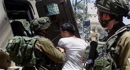 الاحتلال الإسرائيلي يعتقل 57 فلسطينيا في الضفة الغربية
