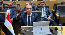 وزير الخارجية يترأس وفد مصر في قمة الاتحاد الأفريقي
