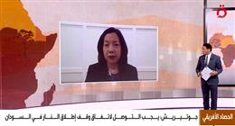 مفوضة أممية تدعو لمحاسبة مرتكبي الانتهاكات في السودان