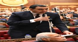 رئيس «برلمانية المؤتمر» بـ«الشيوخ»: الخطة القومية لمكافحة الأورام تحتاج سياسات واضحة