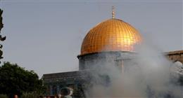 دعاء لفلسطين قصير.. كلمات مؤثرة لنصرة أهل غزة وتفريج الكرب