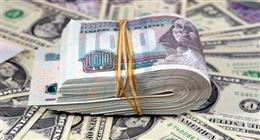 سعر الدولار في مصر اليوم الثلاثاء 17 فبراير 2026