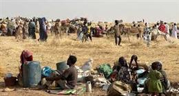 الأمم المتحدة: مقتل 15 طفلا في هجوم بمسيرة غرب كردفان في السودان