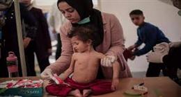 سقوط 26 شهيدا و68 مصابا في قطاع غزة خلال 24 ساعة 