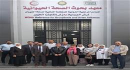 مصر تحصد شهادة النجاح في تشخيص أمراض الخيول بالتعاون مع معهد «لوفلر» الألماني
