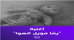 رحلة «يما مويل الهوا» تتر صحاب الأرض.. من قصائد العشق لأيقونة المقاومة الفلسطينية