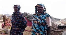 مندوب مصر بالأمم المتحدة: دعم المليشيات في السودان جريمة حرب