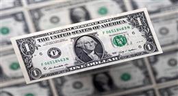 سعر الدولار اليوم السبت 21-2-2026 مقابل الجنيه المصري.. بكام النهاردة؟