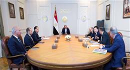 الرئيس السيسي يبحث مع وفد شركة «GCL» الصينية توطين صناعة الطاقة المتجددة
