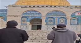 مستوطنون يؤدون صلوات تلمودية أمام قبة الصخرة بمحيط المسجد الأقصى