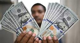 سعر الدولار مقابل الجنيه المصري اليوم السبت 28-2-2026