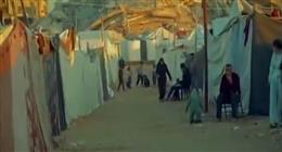 «التحرير الفلسطينية»: اللجنه المصرية أطعمت مليون صائم وعززت صمود الفلسطينيين في غزة