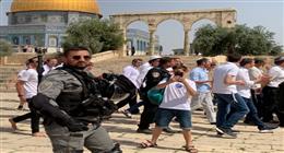 لا سيادة لإسرائيل على الأراضي الفلسطينية المحتلة.. مصر تدين اقتحام وزير الأمن القومي الإسرائيلي للمسجد الأقصى |عاجل