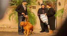 نقاد: ريهام حجاج تسعى لكسر القوالب الآمنة والبحث عن المناطق الصعبة 