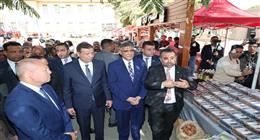 مصر الأولى عالميًا في إنتاج التمور بـ2 مليون طن سنويًا