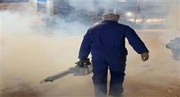 حملات مكثفة لمكافحة الحشرات الطائرة بعدد من مناطق وقرى الأقصر