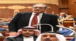 «برلمانية الوفد»: حديث الرئيس السيسي اليوم يعكس أن المواطن المصري هو البطل