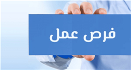 وظائف خالية برواتب مجزية وتأمينات.. الشروط وطريقة التقديم