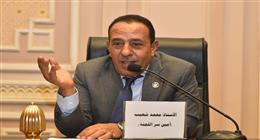 عضو بـ«الشيوخ»: أمن الخليج «خط أحمر» وتحركات الرئيس السيسي صمام أمان لاستقرار المنطقة 
