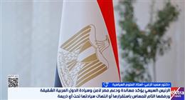 أستاذ علوم سياسية: مصر تعتمد دبلوماسية الهدوء لاحتواء الأزمات وتجنب التصعيد