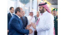 عضو بـ«الشيوخ» يثمن زيارات الرئيس السيسي لدول الخليج: استقرار المنطقة الهدف الأول