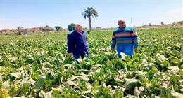 وزير الري يتفقد أعمال تطهير الممرات المائية استعدادا للموسم الجديد بالفيوم