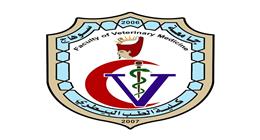 عاجل| «هيقلل عدد السنوات».. اعتماد نظام الساعات المعتمدة في تجارة وطب بيطري سوهاج