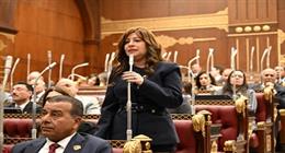 النائبة سوزي سمير: ضبط قيادي «حسم» الهارب يؤكد قدرة الدولة على ملاحقة الإرهاب