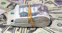 سعر الدولار مقابل الجنيه المصري في البنوك اليوم الاثنين 30-3-2026