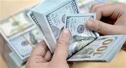 خبير اقتصادي: سعر الصرف المرن أداة لامتصاص الصدمات ومنع تكرار الأزمات الاقتصادية