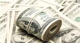 سعر الدولار فى البنوك اليوم السبت.. استقرار عند مستوى 50 جنيها