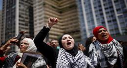 يوم المرأة العالمي.. «نساء فلسطين» أشجار الزيتون الصامدة في وجه الاحتلال الإسرائيلي