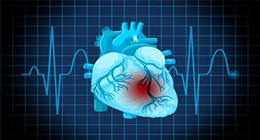 عادات يومية للحفاظ على صحة القلب وضغط الدم الطبيعي.. 8 أمور التزم بها