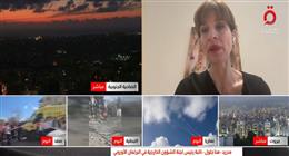 نائب رئيس «خارجية البرلمان الأوروبي»: تصعيد ضد إسرائيل وعقوبات محتملة ضدها