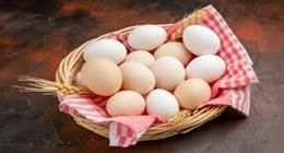 أسعار كرتونة البيض في بورصة الدواجن والسوق اليوم السبت 11-4-2026