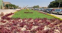 رفع 1450 طن مخلفات في عدة مناطق بالجيزة 