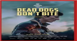 بعد عرضه في مهرجان إسطنبول السينمائي.. معلومات عن فيلم «Dead Dogs Don’t Bite»