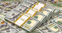 آخر سعر للدولار مقابل الجنيه قبل بدء التعاملات بالبنوك اليوم الأربعاء 15 أبريل 2026