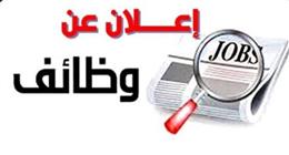 92 فرصة عمل بالإسكندرية من وزارة العمل.. اعرف التخصصات 