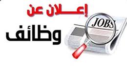 مديرية العمل بأسيوط تعلن 20 وظيفة شاغرة للشباب.. اعرف التخصصات والشروط