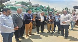 انطلاق موسم توريد القمح بالأقصر.. وتجهيز 4 نقاط استلام رئيسية