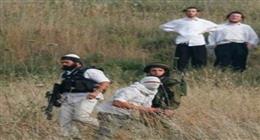 مستوطنون يهاجمون بدو عرب المليحات شمال مدينة أريحا