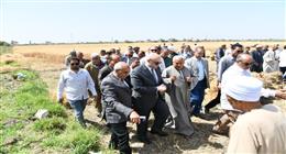 محافظ الفيوم يفتتح موسم حصاد القمح بأحد الحقول الزراعية بقصر رشوان