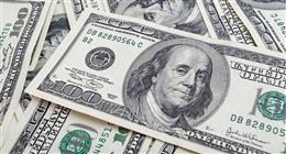 سعر الدولار مقابل الجنيه في بداية التعاملات المسائية اليوم الأحد 19-4-2026