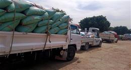 محافظ سوهاج: استلام 8431 طن قمح بالصوامع والشون حتى الآن