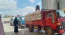 توريد 890 طن قمح محلي عبر 25 موقعا بكفر الشيخ حتى الان
