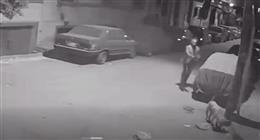 نهاية مأساوية لكلب مسالم.. موظف أنهى حياته بطلق ناري أثناء تناوله الطعام
