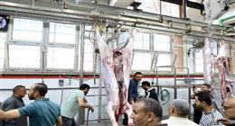 بدء التشغيل التجريبي لمجزر الزقازيق بعد تطويره بتكلفة 34 مليون جنيه