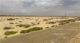 وزير الري يوجه باستمرار المتابعة الفورية للأمطار والسيول في شمال سيناء